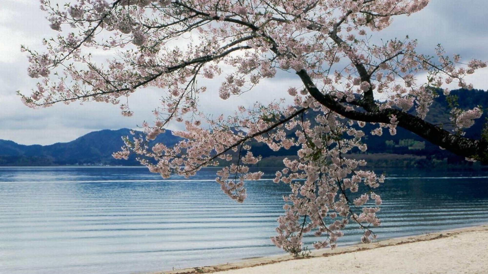 Kashintei Shirahama Hotell Semboku Eksteriør bilde